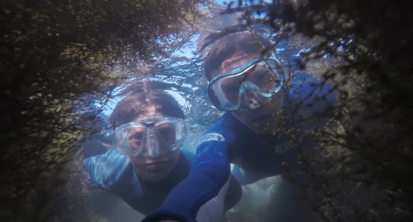 Pianki i topy do snorkelingu: Komfort i ochrona w jednym