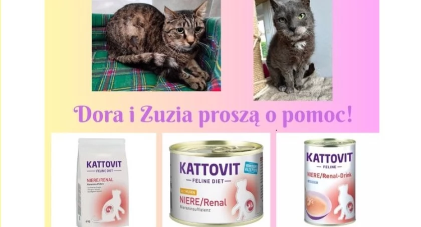 Dora i Zuzia bardzo proszą o specjalistyczną karmę Renal