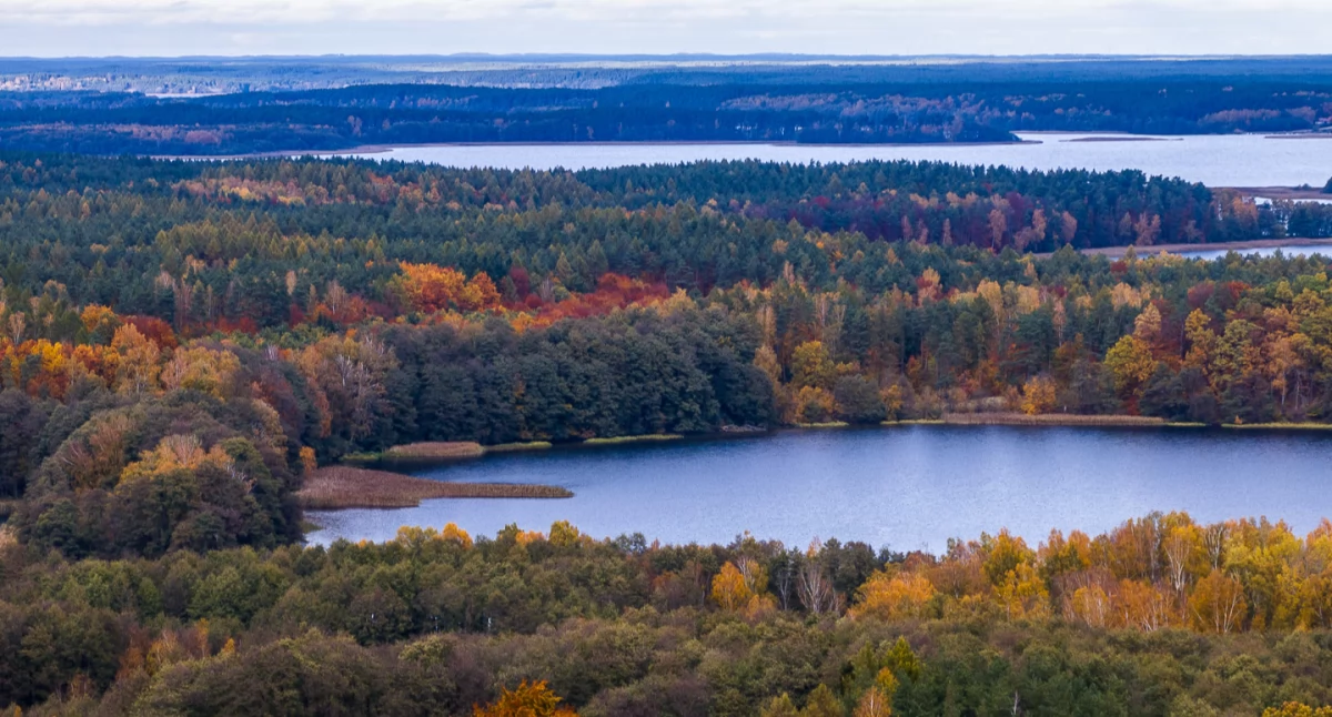 Czy niż Ciaran dotrze nad region chojnicki?