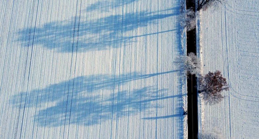 Piękną zimę mamy tej jesieni. Jarcewo i Czartołomie. ZDJĘCIA i VIDEO