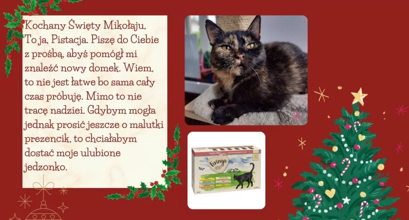 Pistacja chciała pochwalić się Państwu swoim listem do Świętego Mikołaja