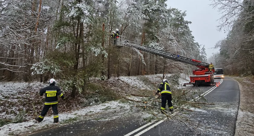 Pracowita doba strażaków z powiatu chojnickiego