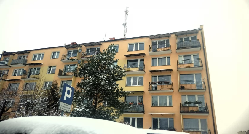 Tajemniczy pisk nie daje spać mieszkańcom okolicy Alei Brzozowej w Chojnicach