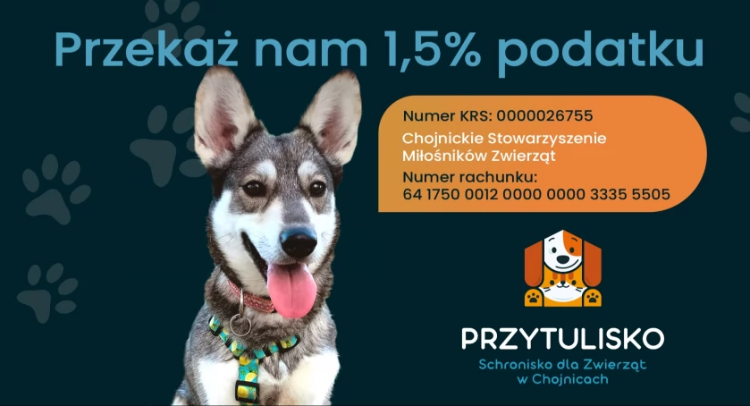 Przekaż podopiecznym schroniska 1,5 % podatku