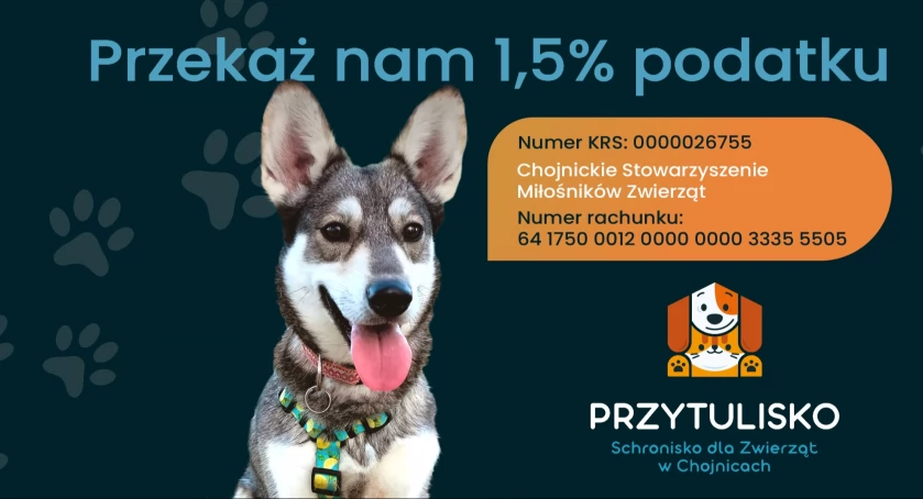 Przekaż 1,5% podatku dla podopiecznych schroniska 