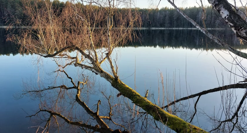 Dokąd na niedzielny spacer? Brda pod Babilonem