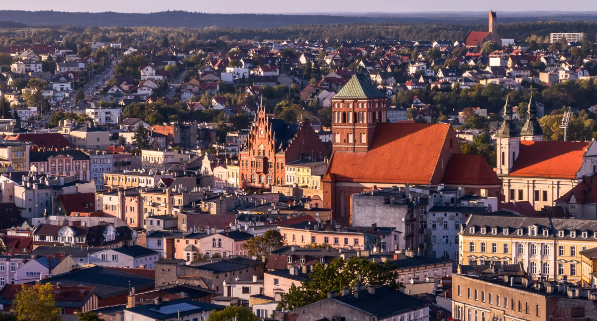 Będą sadzić las w... Chojnicach!
