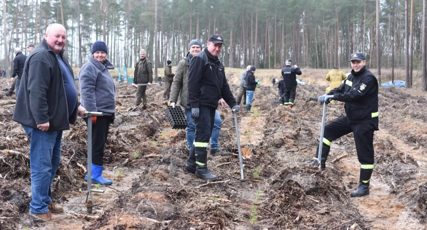 Leśnictwo Juńcza: społecznie obsadzili hektar lasu