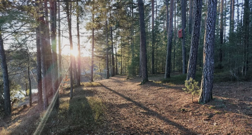 Prognoza pogody dla powiatu chojnickiego na weekend 16-17 marca