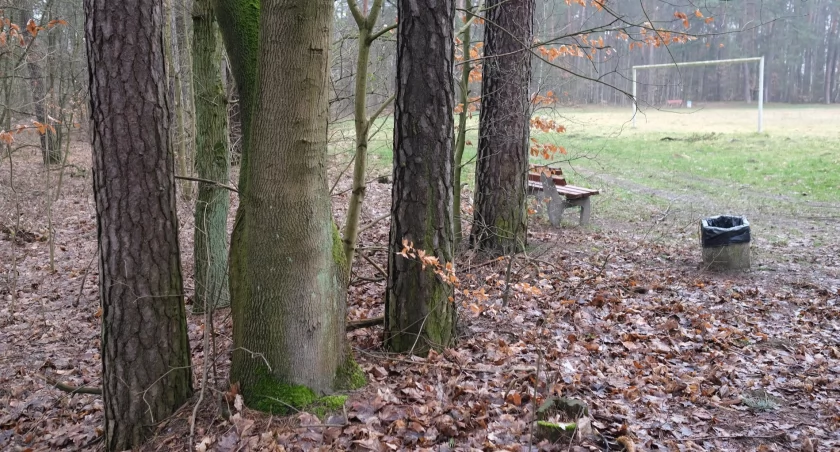Czy to koniec planów budowy masztu telefonicznego na skraju Lasku Miejskiego?