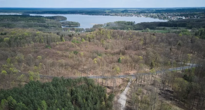 Dokąd na niedzielny spacer? Grodzisko Wolność i dawna granica