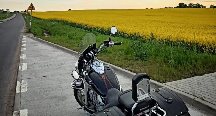 Jak Czytelnicy Czasu Chojnic widzą kwitnący rzepak?