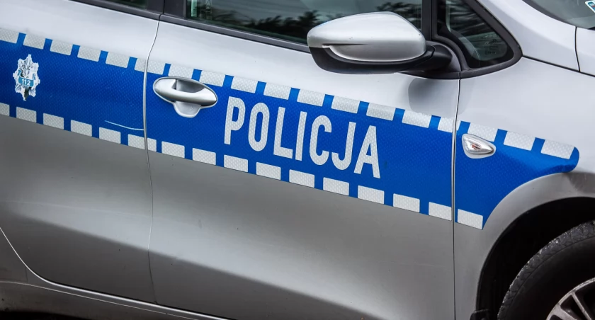 Kolizje drogowe miały miejsce wskutek zderzeń z dziką zwierzyną