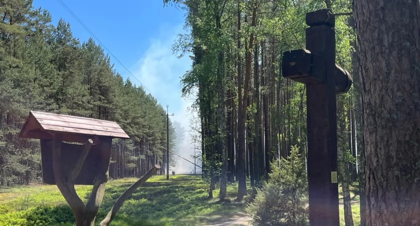 Pożary lasu w Parku Narodowym Bory Tucholskie i w Nowej Cerkwi