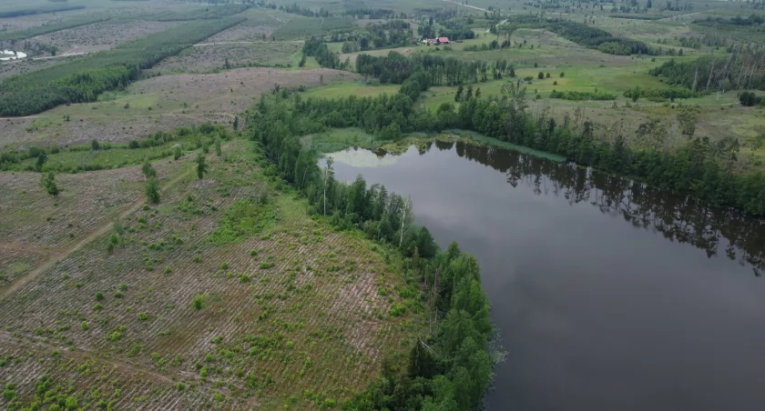 Dokąd na niedzielny spacer? Jezioro Suszek