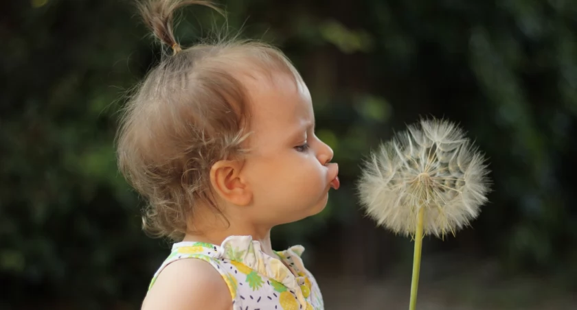 Twoje dziecko to niejadek? W Charzykowach ci pomogą