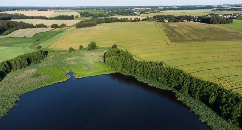 Dokąd na niedzielny spacer? Wycieczka wzdłuż Jarcewskiej Strugi nad Jezioro Niedźwiedź