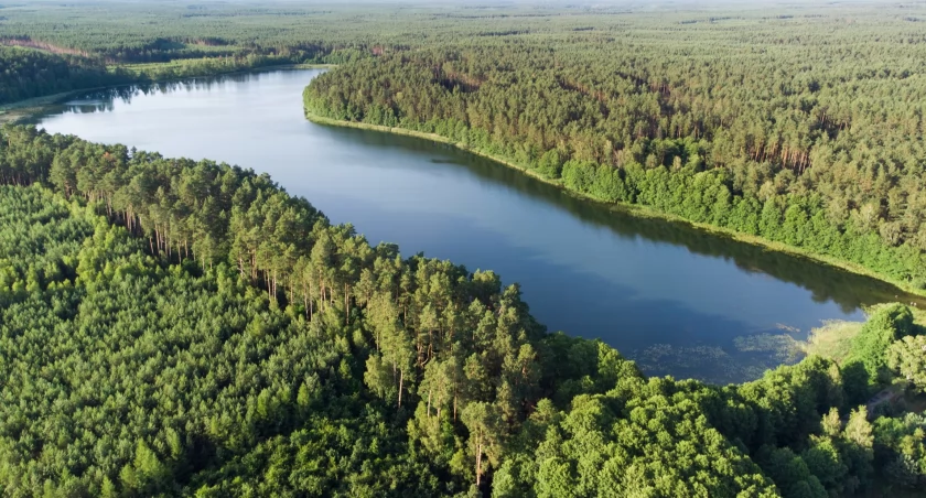 Temperatura wody w jeziorach północnej Polski. Najcieplej w okolicach Chojnic