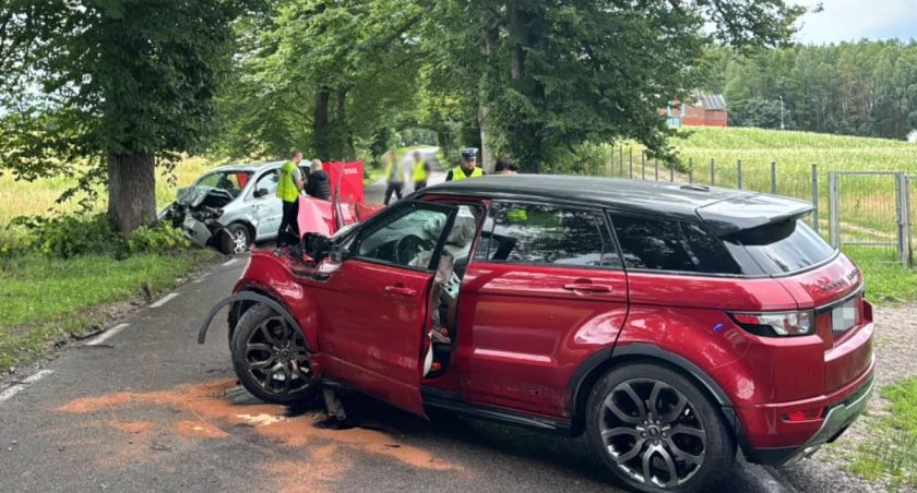 Poszukiwania świadków śmiertelnego wypadku. Apel policji o bezpieczeństwo