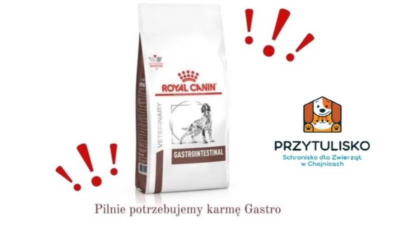 Podaruj karmę podopiecznym ze schroniska 
