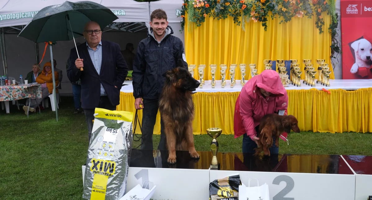 Hit z Chojniczanki najlepszym psem oddziału chojnickiego w XLVII Kaszubskiej Wystawie Psów Rasowych