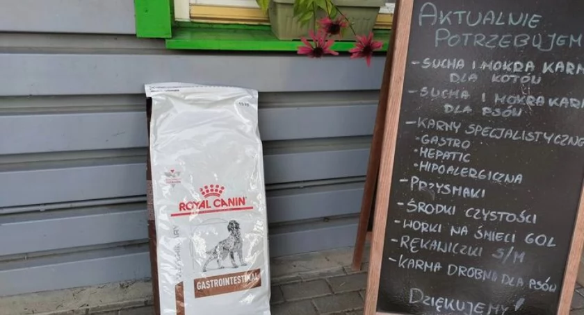 Serdeczne podziękowania za specjalistyczną karmę dla psiaków! 