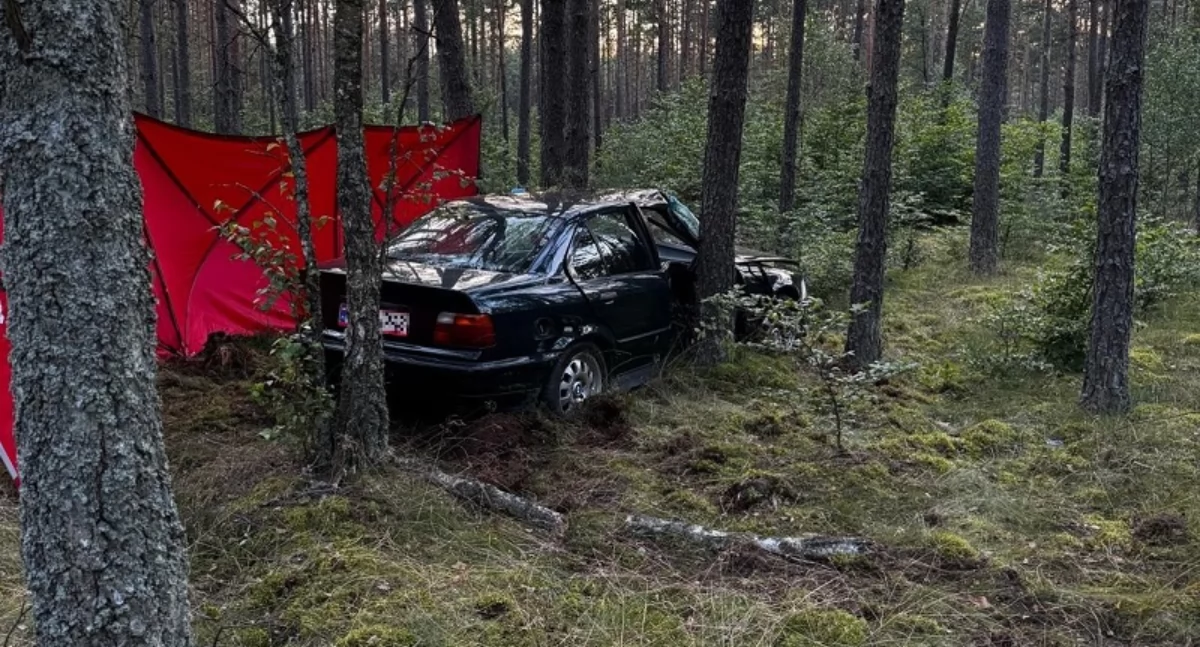 Tragedia na leśnej drodze: 68-letni mężczyzna zginął w wypadku