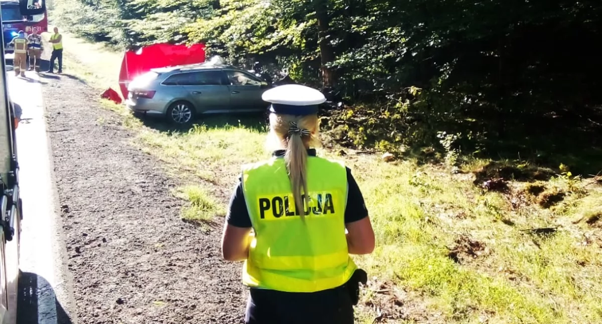 Samochód zderzył się z łosiem, kierowca zginął