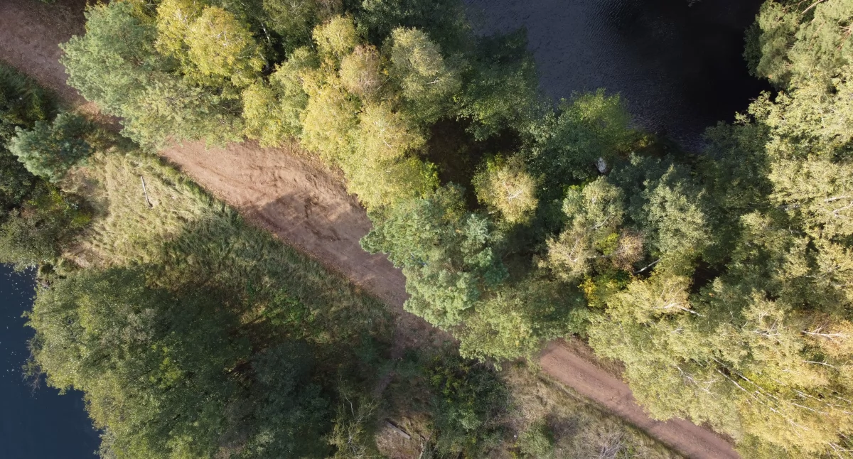 Zapraszamy na spacer po Zaborskim Parku Krajobrazowym z okazji Dnia Parków Krajobrazowych