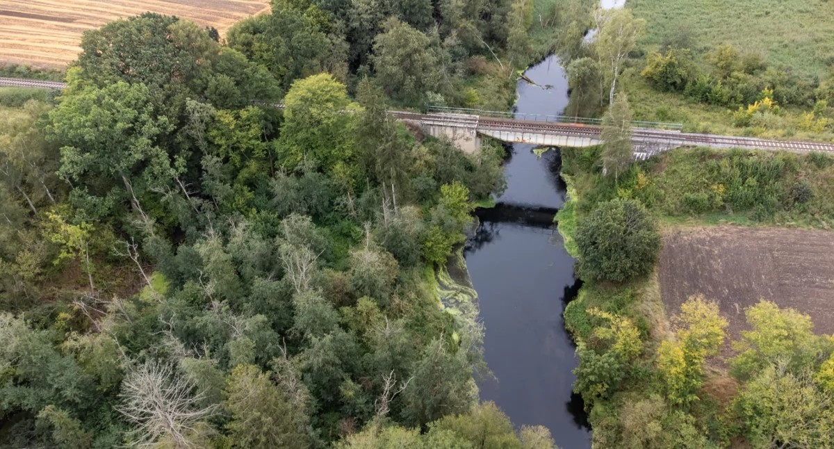 Dokąd na niedzielny spacer? Czosnowo, Brda i jezioro Sosonowe z lotu drona
