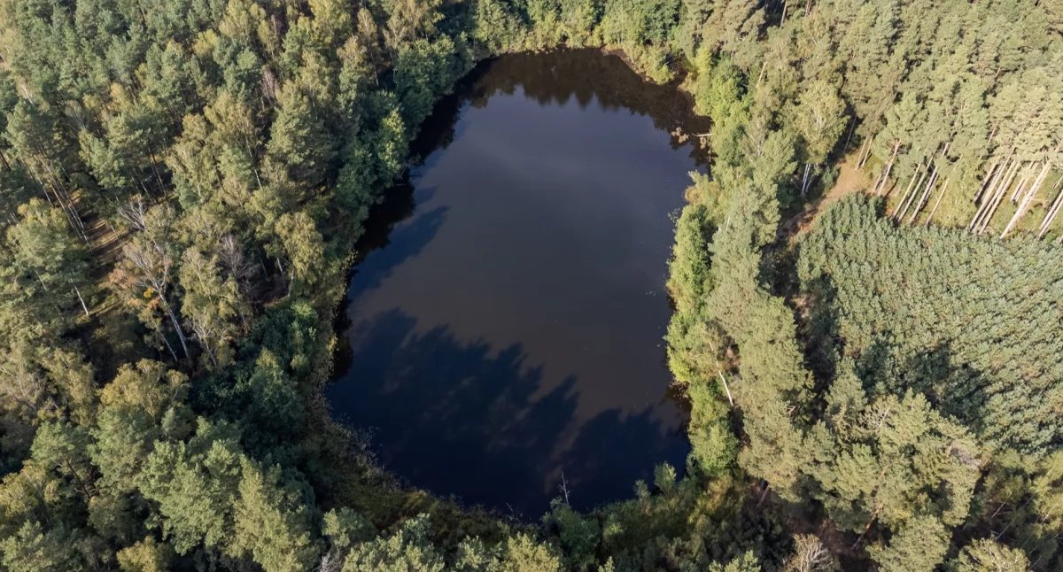 Dokąd na niedzielny spacer? Tajemnica małego jeziorka w lesie