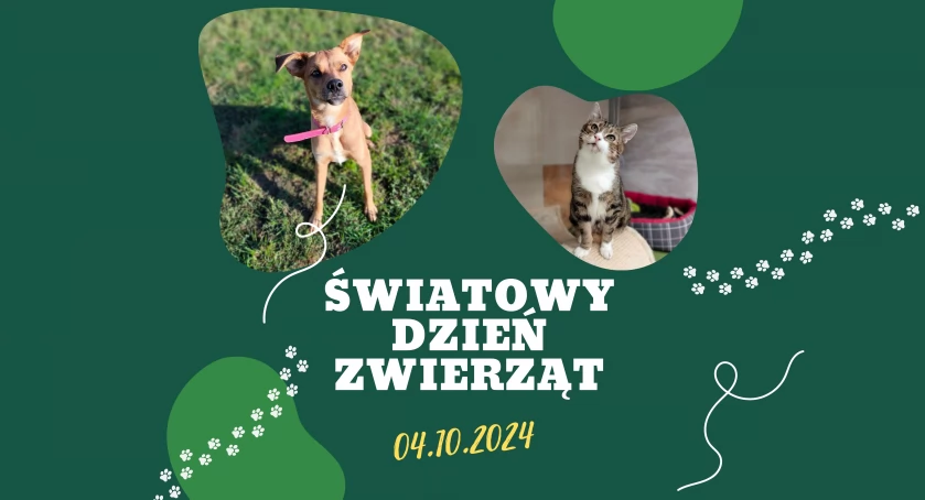 4 października - Światowy Dzień Zwierząt