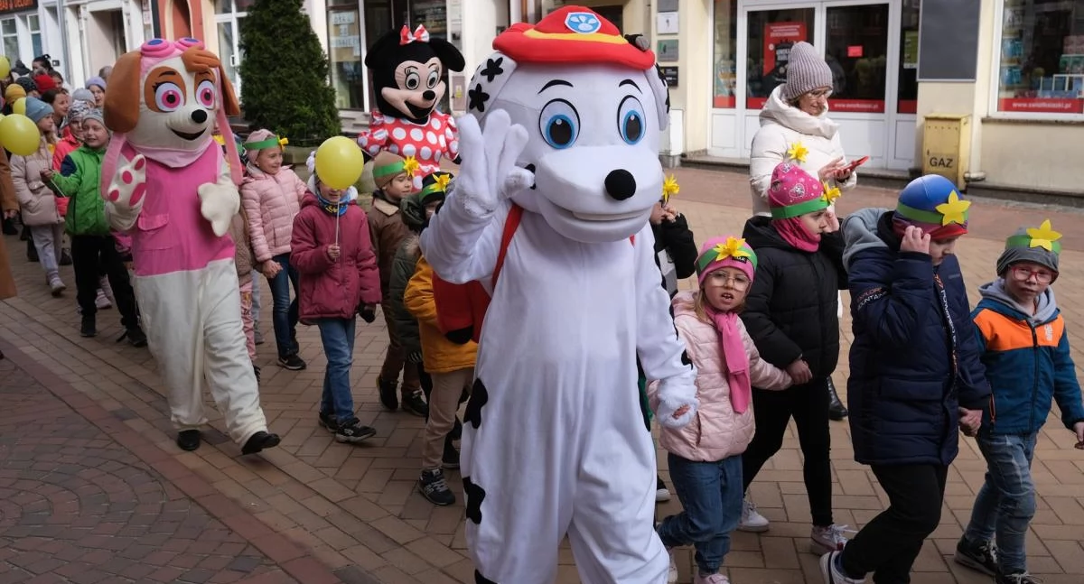„Pola Nadziei” – zasadźmy żonkile i okażmy wsparcie osobom chorym
