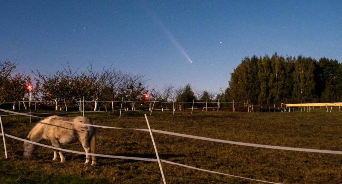 Kometa Tsuchinshan-ATLAS nad regionem chojnickim: Aron Górnowicz fotografuje z Brzeźna