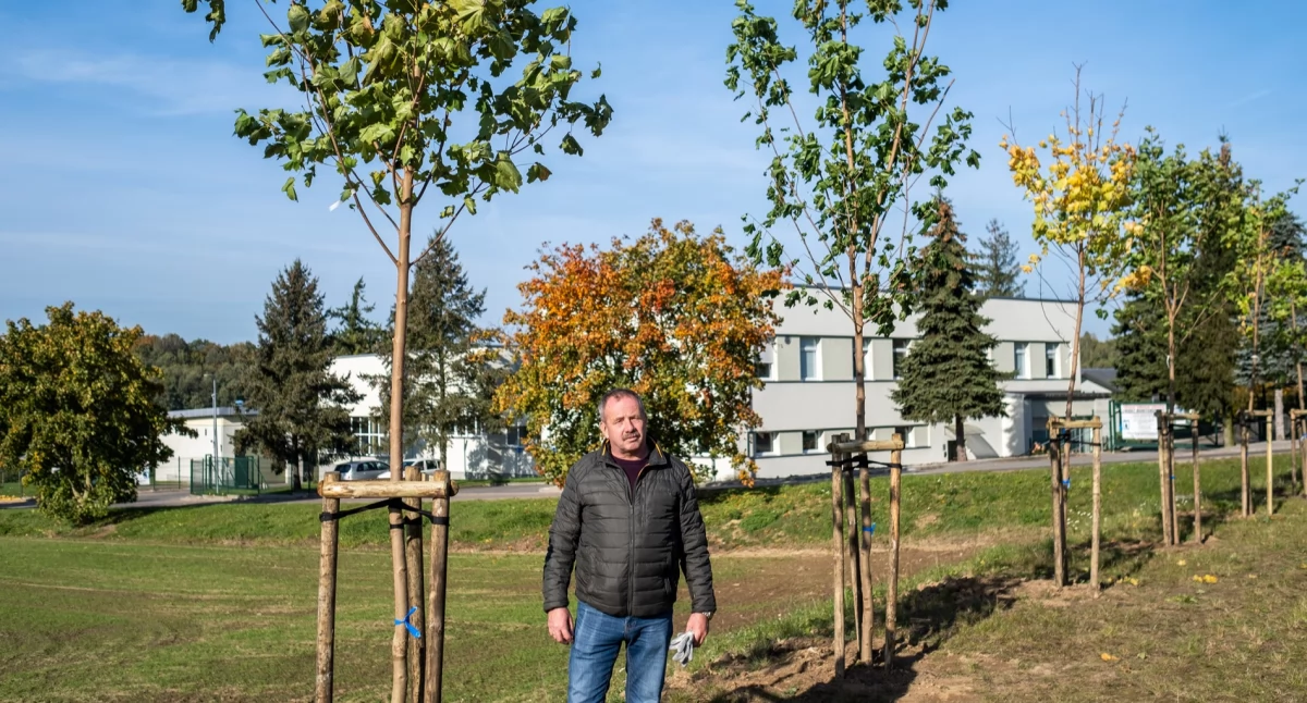 Zazielenianie miasta: pierwsze drzewa już posadzone