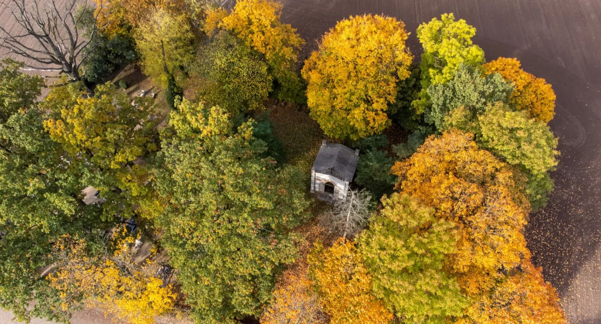 Dokąd na niedzielny spacer? Przelot nad Jarcewem