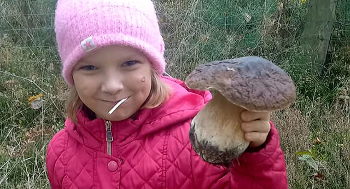 Co nasi Czytelnicy znaleźli ostatnio w lesie? Pogoda dla grzybiarzy