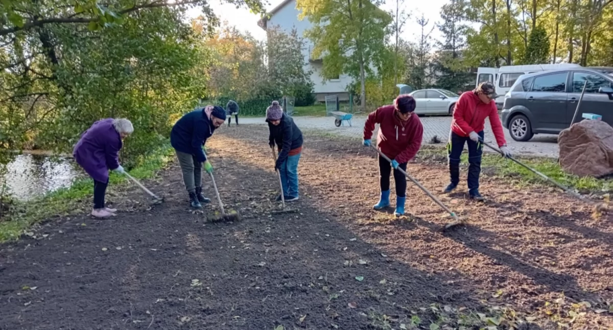 Powstała łąka kwietna przy świetlicy w Angowicach 