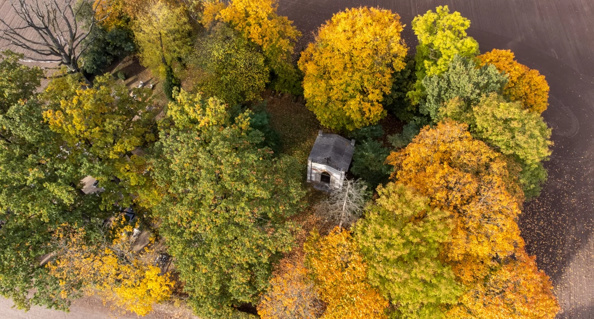 Wszystkich Świętych pod znakiem wiatru i chmur. Pogoda w Chojnicach