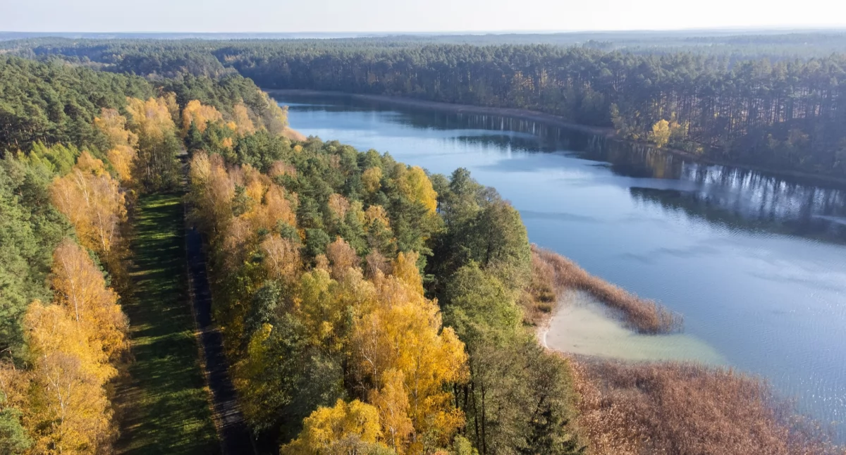 Dokąd na niedzielny spacer? Nad jezioro Duże Głuche 