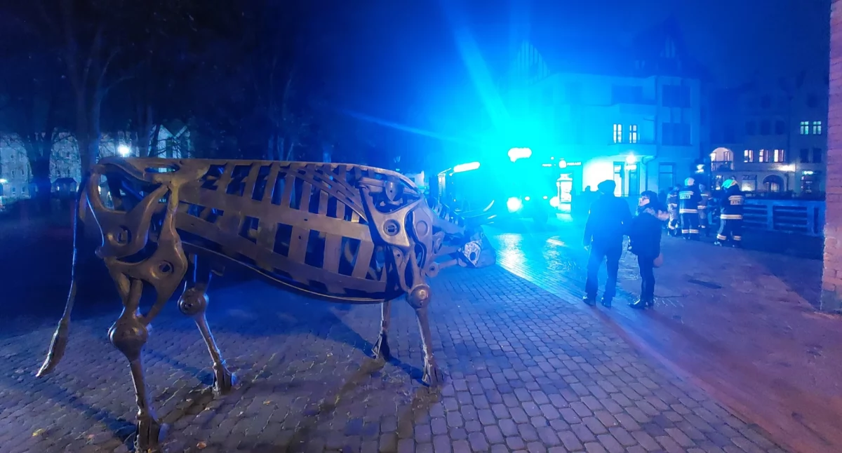 Alarm pożarowy w Muzeum Historyczno-Etnograficznym w Chojnicach