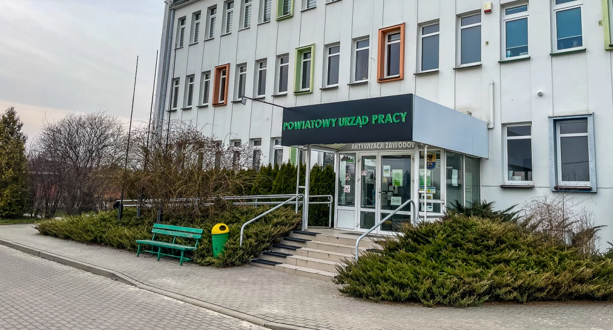 Cotygodniowy przegląd ofert pracy w regionie