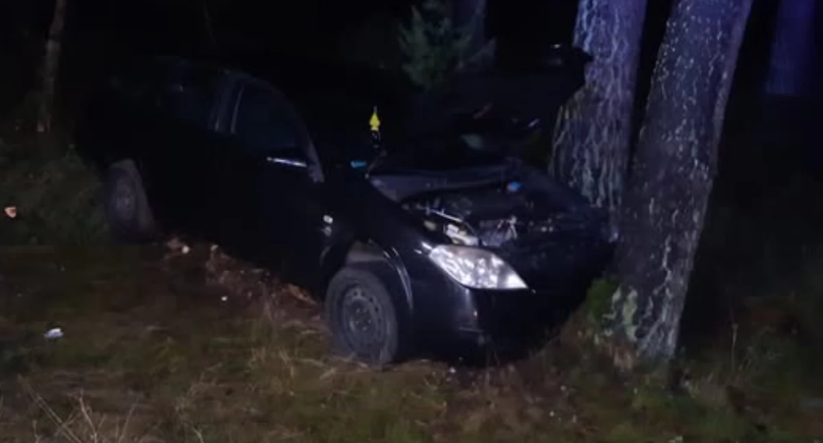 Mieszkanka Chojnic uderzyła w drzewo w Zielonej Chocinie