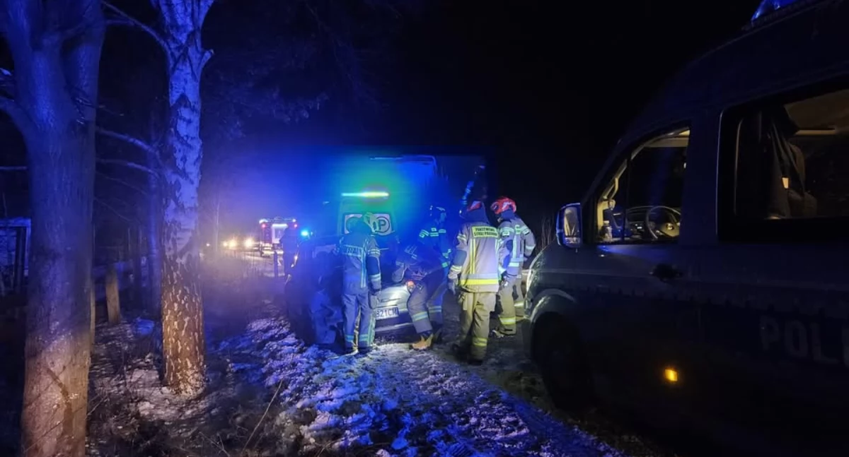  Samochód uderzył w drzewo w Wolności