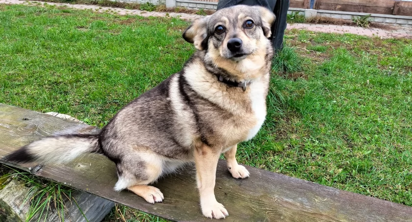Urocza Majka poleca się do adopcji!