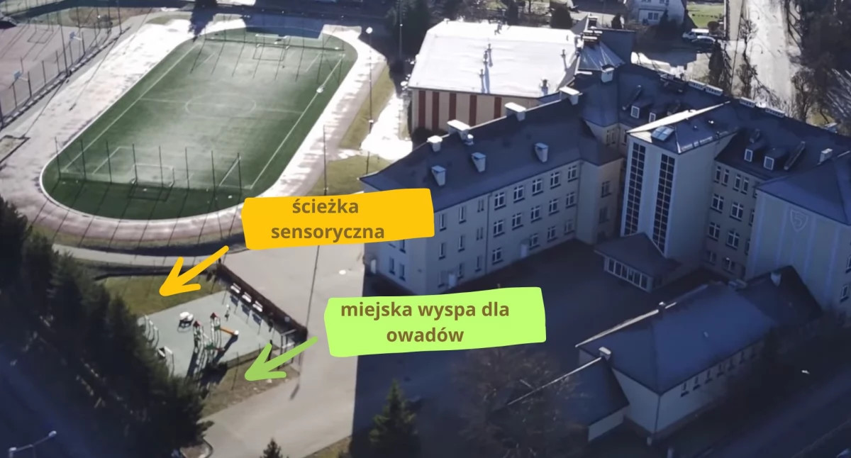 SP5 w Chojnicach otrzymała grant na Ekoprojekt: Miejska Wyspa dla Owadów