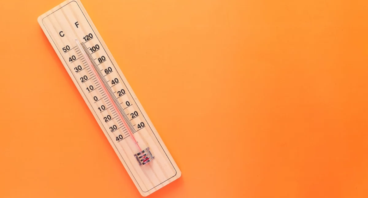 Przymroziło! Do ilu stopni spadła temperatura w Chojnicach?