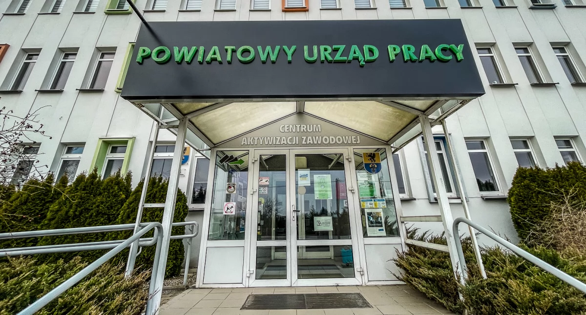 Szukacie pracy? Może te oferty was zainteresują?