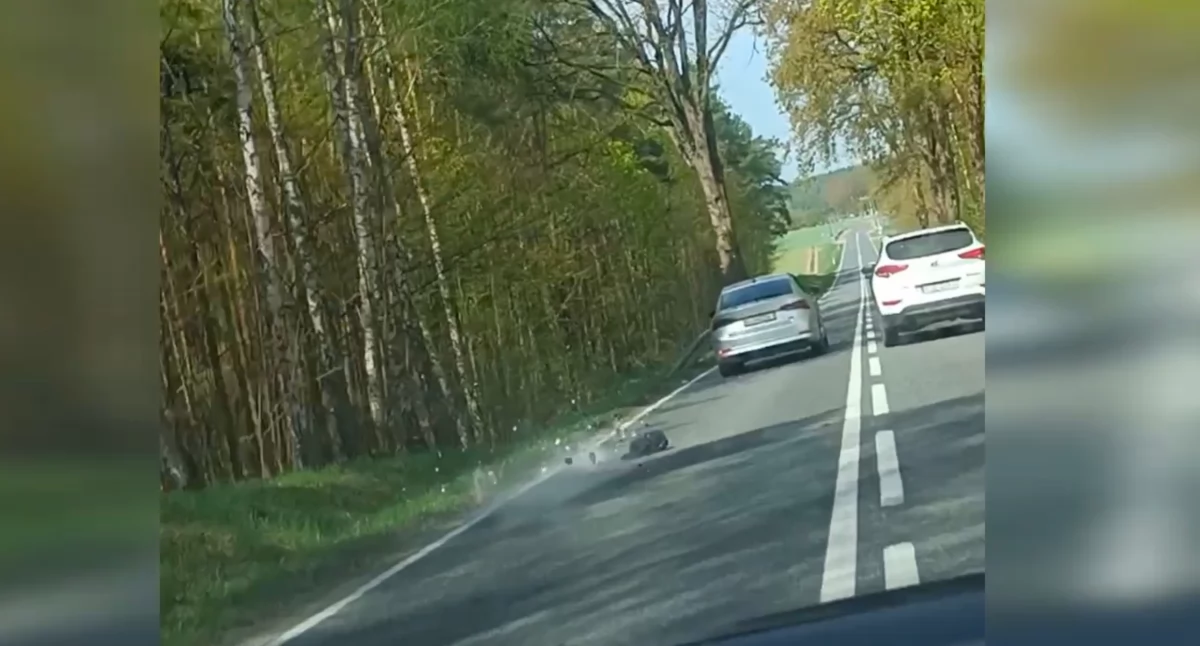 Ruszył w pościg za włamywaczem. Sceny jak z filmu akcji (WIDEO)