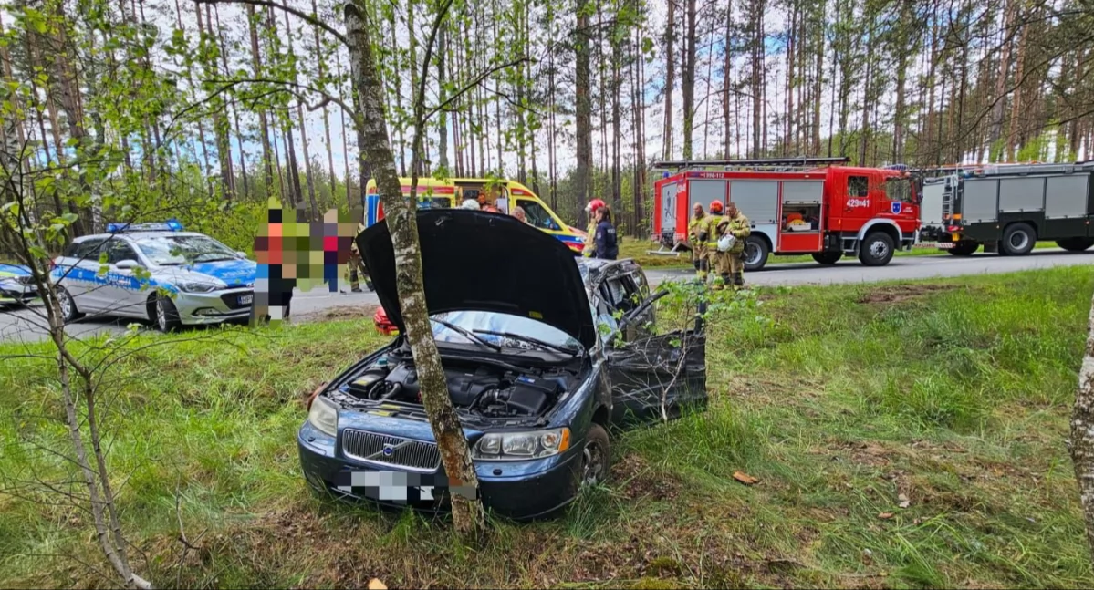 Volvo uderzyło w drzewo. Kierowca trafił do szpitala